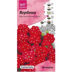 Семена Вербены АгроСидсТрейд