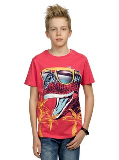 Футболка Pelican