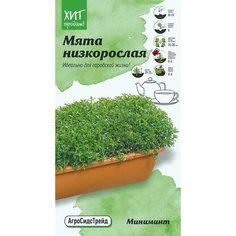 Семена Мяты АгроСидсТрейд