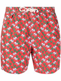 MC2 Saint Barth плавки-шорты с принтом