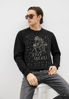 Свитшот Just Cavalli 