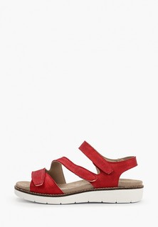 Сандалии Dali 