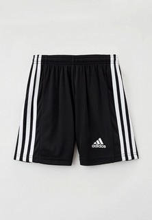 Шорты спортивные adidas 