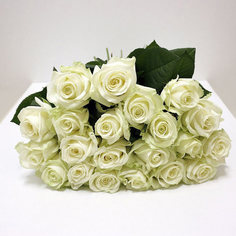 21 Белая роза 50 см Flowwow