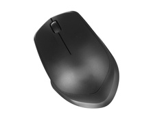 Мышь HP Wireless Silent 19U64AA