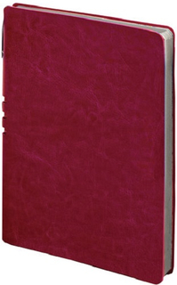 Тетрадь Brauberg Nebraska, А5, 120 листов, бордовая (110955)