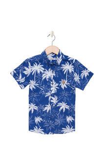 Рубашка U.S. Polo Assn.