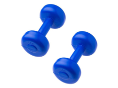 Набор гантелей Starfit 2kg 2шт Blue УТ-00000363