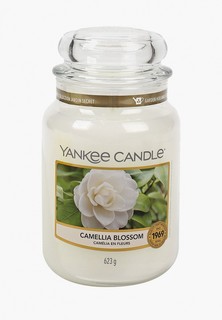 Свеча ароматическая Yankee Candle в стеклянной банке, Цветущая камелия, 623 г