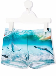 Molo плавки-шорты с принтом Welcome To Hawaii