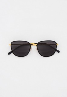 Очки солнцезащитные Polo Ralph Lauren PH3134 900487