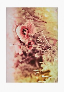 Коврик Shahintex SPRING PHOTOPRINT