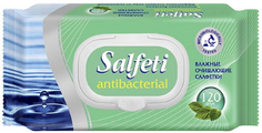 Влажные антибактериальные салфетки Salfeti 120 шт, с клапаном (30646)