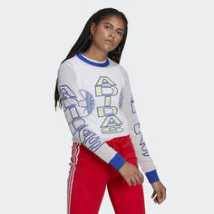 Лонгслив Collegiate Mesh adidas Originals