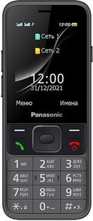 Мобильный телефон Panasonic TF200 (серый)