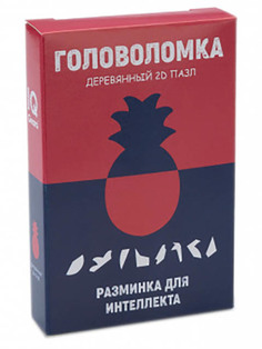 Головоломка IQ Gears Ананас IQ4848