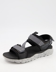 Черные спортивные сандалии с прочными ремешками Timberland-Черный цвет