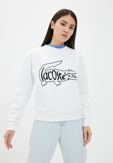 Свитшот Lacoste 