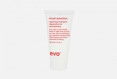 шампунь для окрашенных волос (мини-формат) EVO