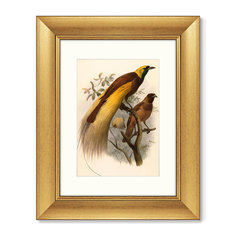 Репродукция картины в раме большая райская птица , 1880г. (картины в квартиру) коричневый