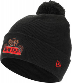 Шапка для мальчиков New Era, размер 53-54