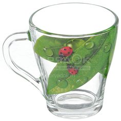 Кружка стеклянная Декостек Живая природа Зеленый лист 1649-Д, 250 мл