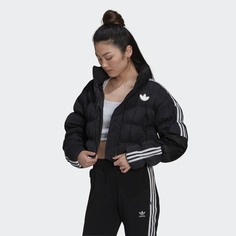 Укороченный пуховик с синтетическим наполнителем adidas Originals