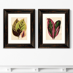 Картина botanical leaf dracaena 1870г. набор из 2-х картин (картины в квартиру) зеленый 41x51 см.