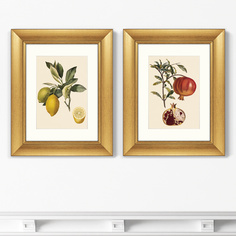 Набор из 2-х репродукций картин в раме juicy fruit lithography №10 , 1870г. (картины в квартиру) бежевый 40x50 см.