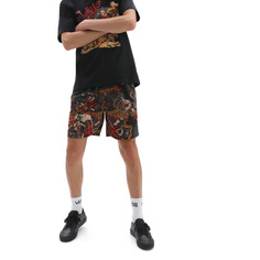 Шорты Off The Wall Gallery Dwiky Ka Vans