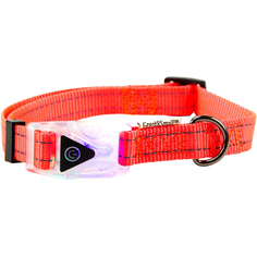 Ошейник для собак GREAT&SMALL со светящейся застежкой 35-45 см оранжевый