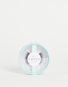 Накладные ресницы Sweed Lashes Beroe 3D-Черный цвет