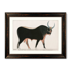 Репродукция картины в раме the apis bull, 1820г. (картины в квартиру) коричневый 80x60 см.