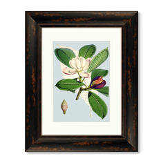 Репродукция картины в раме himalaya plants purple and white flowers , 1869г. (картины в квартиру) зеленый 40x50 см.