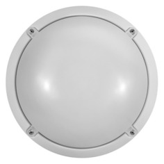 Светильник Онлайт OBL-R1-12-4K-WH-IP65-LED 12Вт 4000K белый опал (19664)