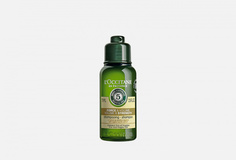 Шампунь для волос L'Occitane