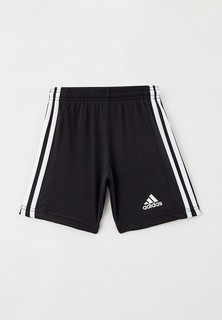 Шорты спортивные adidas SQUAD 21 SHO Y
