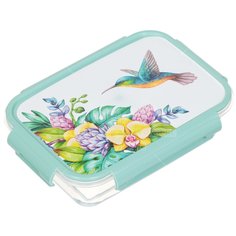 Контейнер пищевой пластмассовый Violet Колибри 3920542, 0.5 л