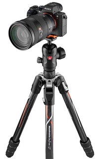 Штатив Manfrotto MKBFRTC4GTA-BH с головой Befree Alpha (черный)