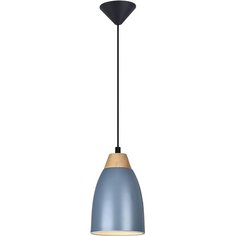Светильник подвесной Leah TL0724H-2N Toplight
