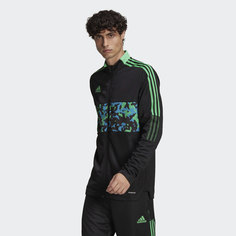Олимпийка Tiro Graphic adidas Sportswear
