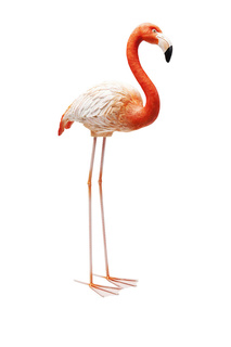 Статуэтка Flamingo Kare