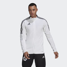 Олимпийка Tiro 21 adidas Performance