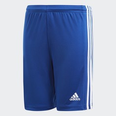 Шорты Squadra 21 adidas Performance