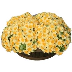 Искусственный цветок нарцисс в корзине желтый 18x9 см Без бренда
