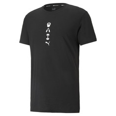 Футболка Performance Graphic Mens Training Tee Puma
