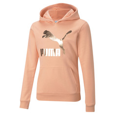 Детская толстовка Classics Logo Youth Hoodie Puma