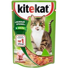 Корм для кошек Kitekat