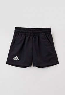 Шорты спортивные adidas B CLUB SHORT