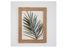 Панно с листом пальмы (wowbotanica) мультиколор 30x40 см.